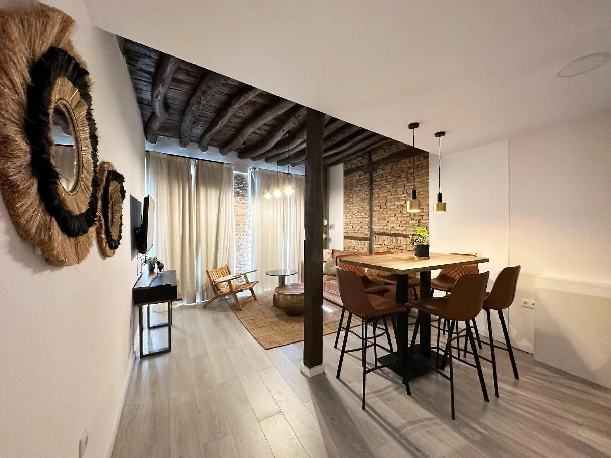 Apartamentos Albaicin Centro Suites 3000 Granada Apartment