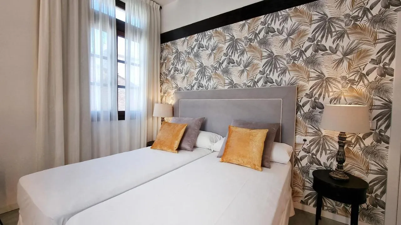 Apartamentos Albaicin Centro Suites 3000 Granada Apartment